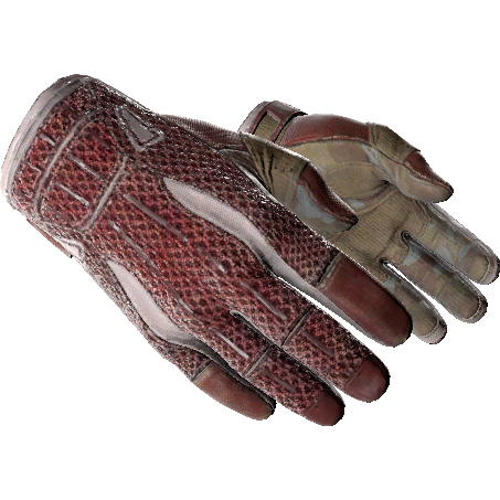 Sport Gloves