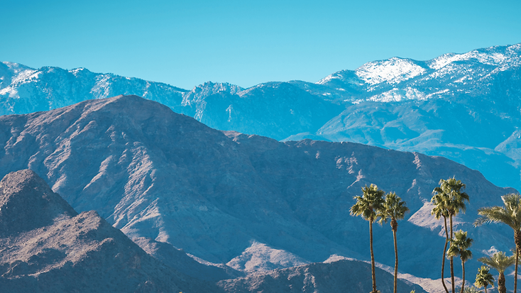 The Coachella Valley with palm trees and the San Jacinto Mountains in the distance.