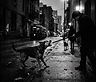 Reactivity Isn't Aggression: What Your Dog's Barking Is Really Saying