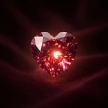 The Tender Heart