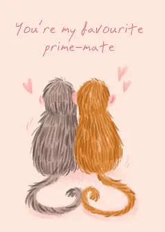 You're My Favourite Prime-Mate