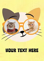 Sunglasses Series - Yellow Cat