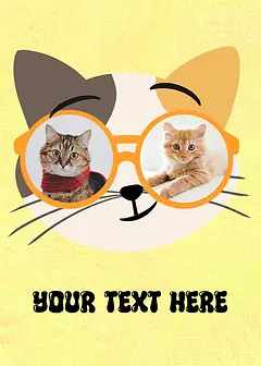 Sunglasses Series - Yellow Cat