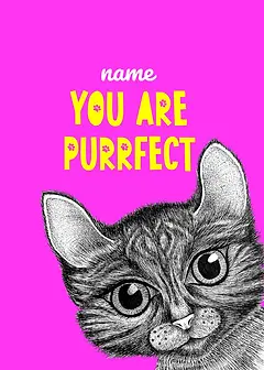 Playful Card by Little Sketch Studio - illustrated cat with large eyes against a vibrant pink background, accompanied by the phrase "YOU ARE PURRRFECT" in bold yellow letters