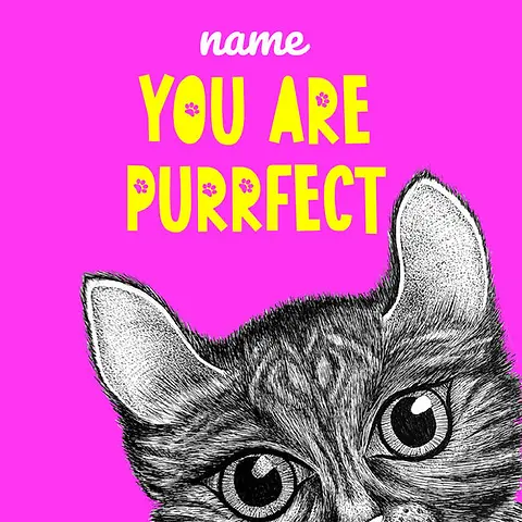 Playful Card by Little Sketch Studio - illustrated cat with large eyes against a vibrant pink background, accompanied by the phrase "YOU ARE PURRRFECT" in bold yellow letters