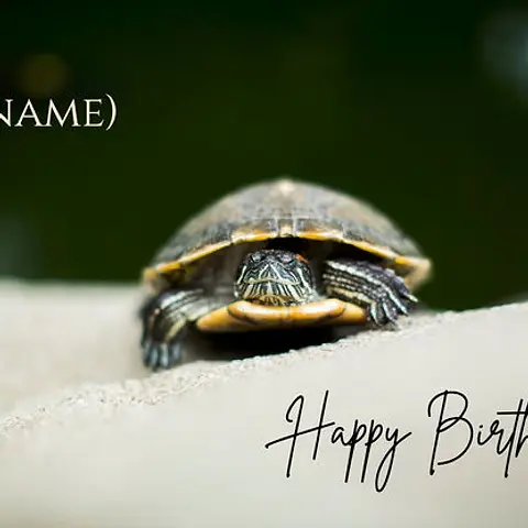 Terrapin Birthday
