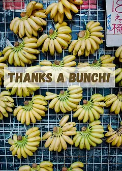 Thanks A Bunch