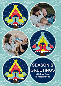 Fun Card by Biscuitmoon Designs -  Lovebirds nestled in brightly colored birdhouses, highlighted with a frosty winter theme and swirling snowflakes