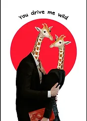 Wild Romance