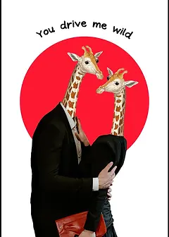 Wild Romance