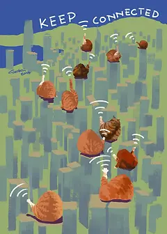 Keep Connected