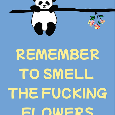 A panda hangs on a branch above small flowers in this rude humor greeting card by Artist Aarti on a blue background.
