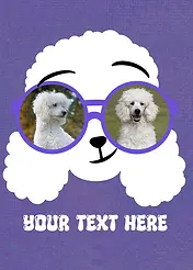Sunglasses Series - Poodle