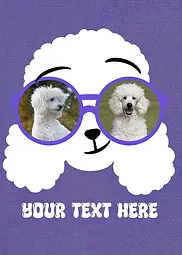Sunglasses Series - Poodle