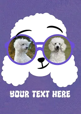 Sunglasses Series - Poodle