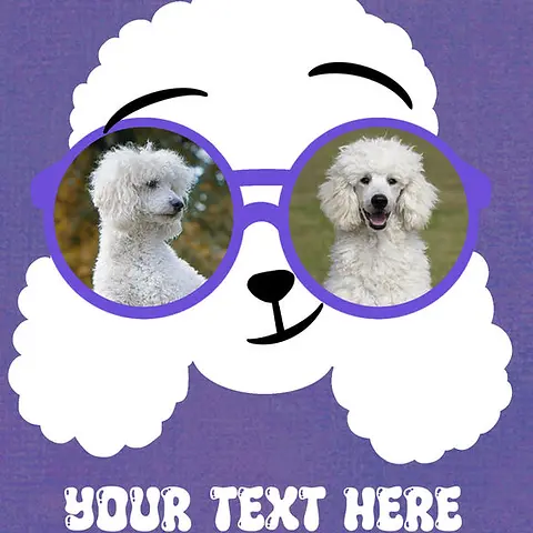 Sunglasses Series - Poodle