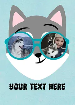 Sunglasses Series - Husky