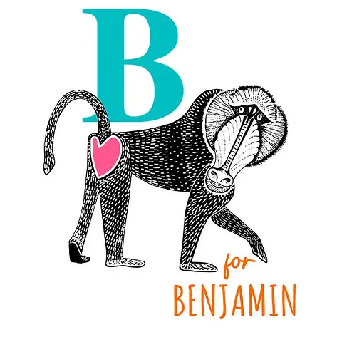 Playful Card by Little Sketch Studio - Illustrates an amusing baboon next to a prominent teal "B,"situated on a bright white backdrop