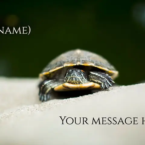 Terrapin Friend