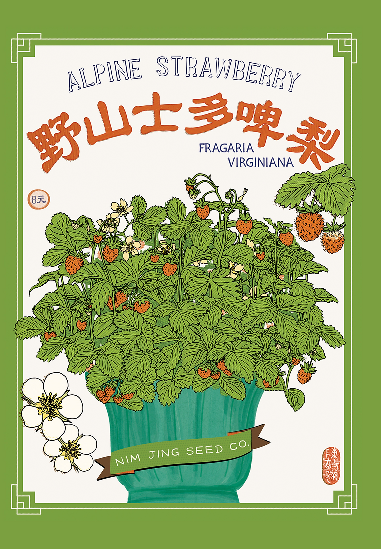 Seed packets - Strawberry