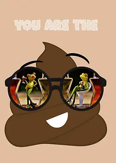 Sunglasses Series - Poo