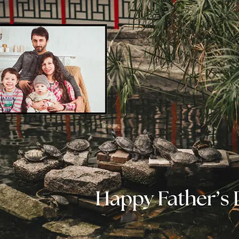Turtle Pond Father’s Day