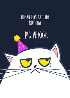 Bithday Cat Big Whoop