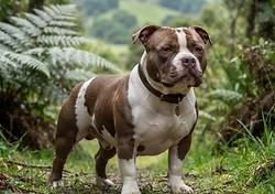 Micro Bully
