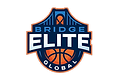 Bridge Elite Global logo