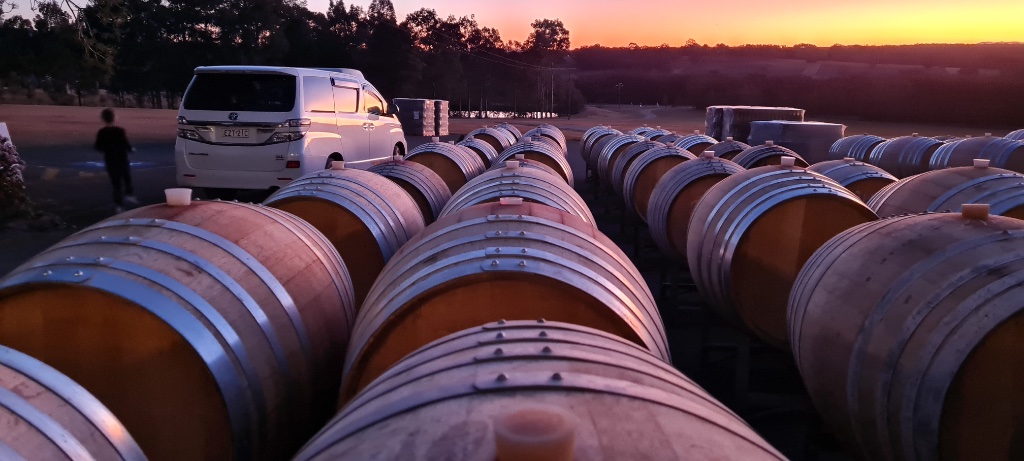 Afternoon Wine Tour and Dinner Transfer