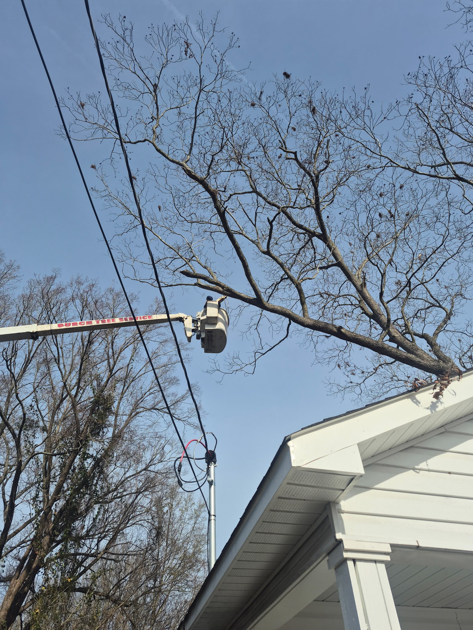 Hazardous tree limb overhanging a roof
