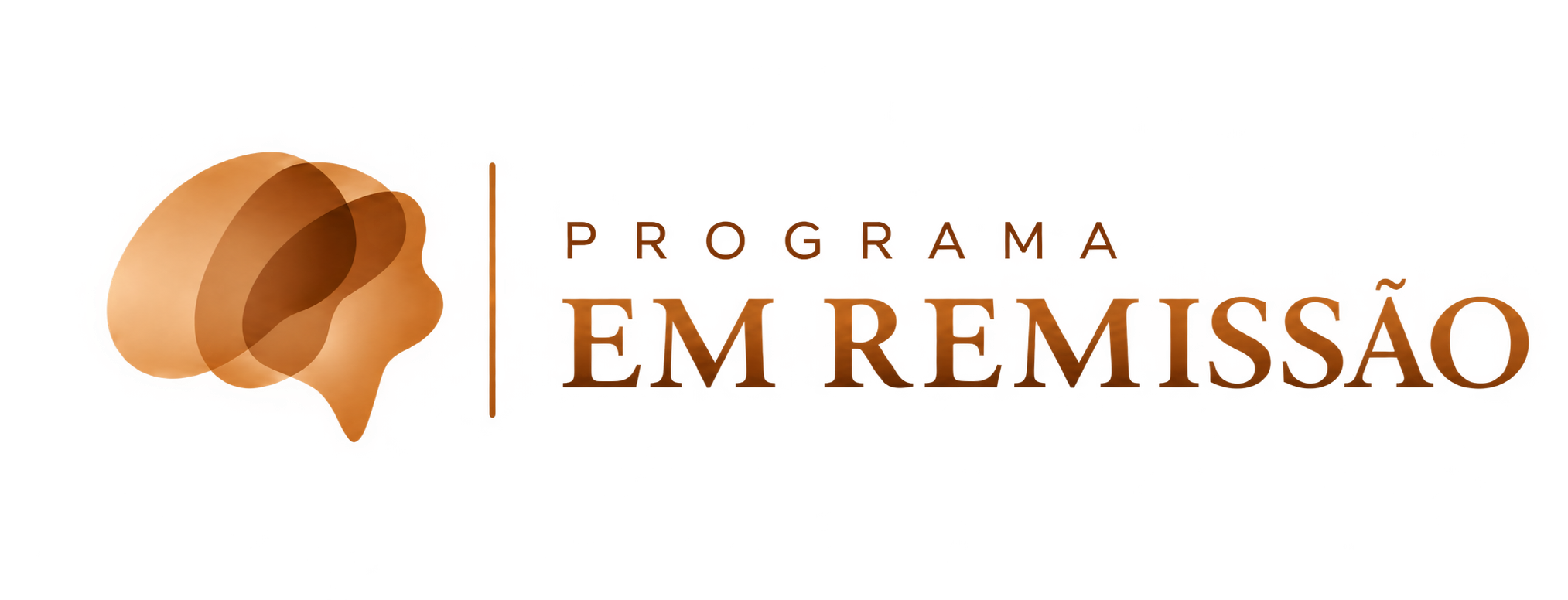 Programa Em Remissão