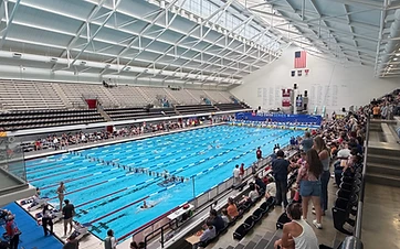 Wide view of a 50-meter competition pool from spectator seating, with swimmers training, busy pool deck and grandstands