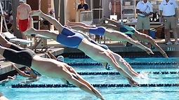 Competitive swimmers diving off the starting blocks into the pool
