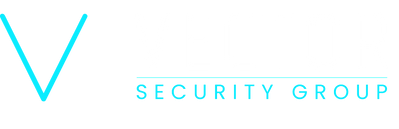 Vector Security Group