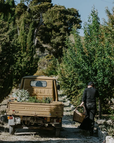 A vintage Piaggio truck loaded with the fresh harvest