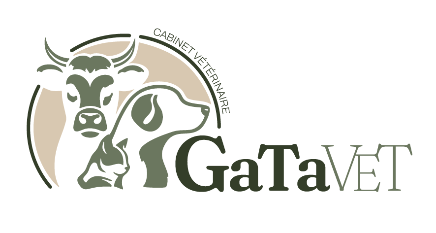 GaTaVet