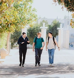 Students walking and talking along a tree-lined campus path