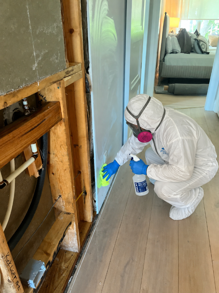 Mold remediation specialist in PPE cleaning a contaminated wall cavity with antimicrobial solution