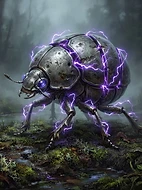 Thrum-Beetle