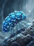 Frost-Mite