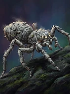Dust-Mite