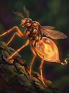 Ignis-Mite