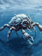 Frost-Mite