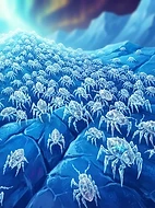 Frost-Mite