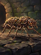 Dust-Mite