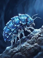 Frost-Mite