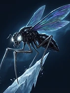 Frost-Skitter