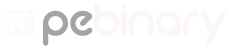PE BINARY