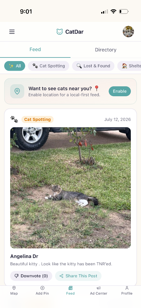 CatDar community feed